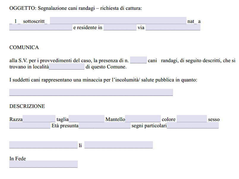 esposto cani randagi al comune