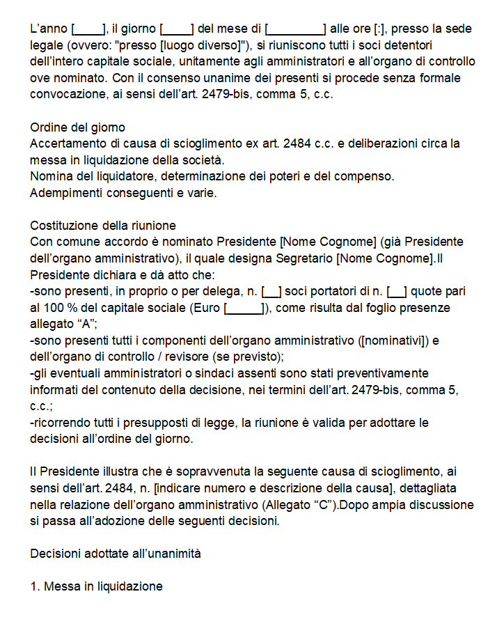 Verbale Messa in Liquidazione Srl Senza Notaio